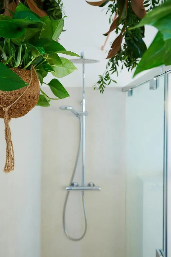 Sapo - Two Bedroom In The Heart Of Barcelona Spain